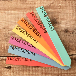 Pastel Fruit and Vegetable Plant Labels